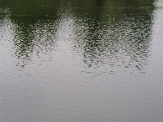 434040 (a): :2560x1920